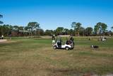 217 Cotorro Ln - Photo 42