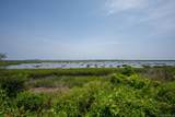 107 Jupiter Rd - Photo 4