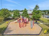 206 Little Owl Lane - Photo 47