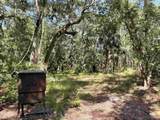 680 S Highway 17 - Photo 7