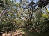 680 S Highway 17 - Photo 8