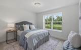 255 Grand Ravine Dr. - Photo 19