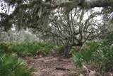  Intracoastal Island - Photo 14