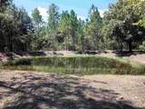 10245 Beckenger Ave - Photo 31