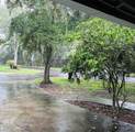 889 Jasmine St - Photo 42