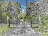 8975 Reid Packing House Rd - Photo 61