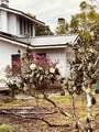 128 Magnolia - Photo 12