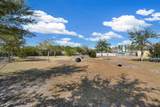 480 Palace Dr - Photo 52