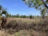 1083 Obrien Pt. - Photo 4