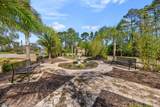 164 Tesoro Terrace - Photo 87