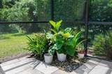 132 Bottlebrush Drive - Photo 63