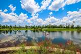 132 Palisade Dr - Photo 73