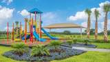 237 Encanto Way - Photo 52