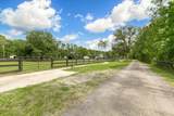35 Townsend - Photo 32