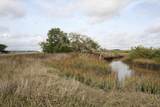  Intracoastal Island - Photo 19