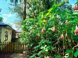 117 Seminole Rd (Pool Home) - Photo 36