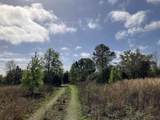 1083 Obrien Pt. - Photo 8