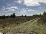 1083 Obrien Pt. - Photo 9