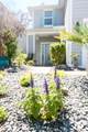 3803 Coastal Cove Circle - Photo 26