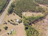 849 Highway 17 - Photo 60