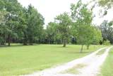 173 Dog Branch Rd - Photo 1