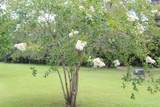 173 Dog Branch Rd - Photo 2
