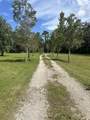 173 Dog Branch Rd - Photo 4