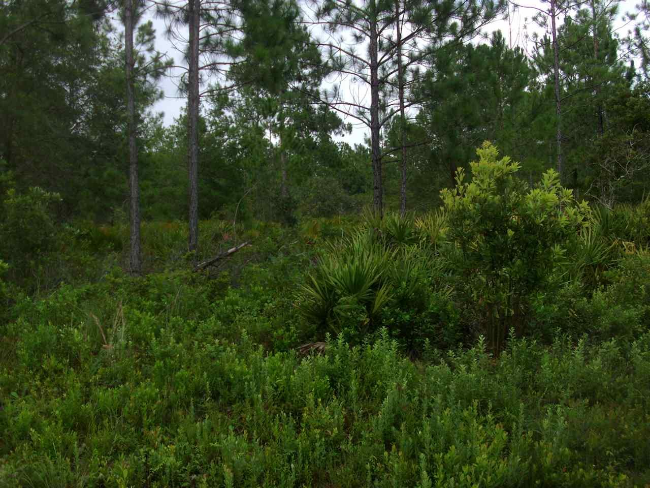 10340 Beckenger Ave - Photo 1