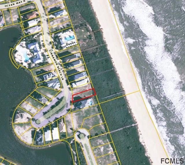 542 Cinnamon Beach Lane - Photo 1