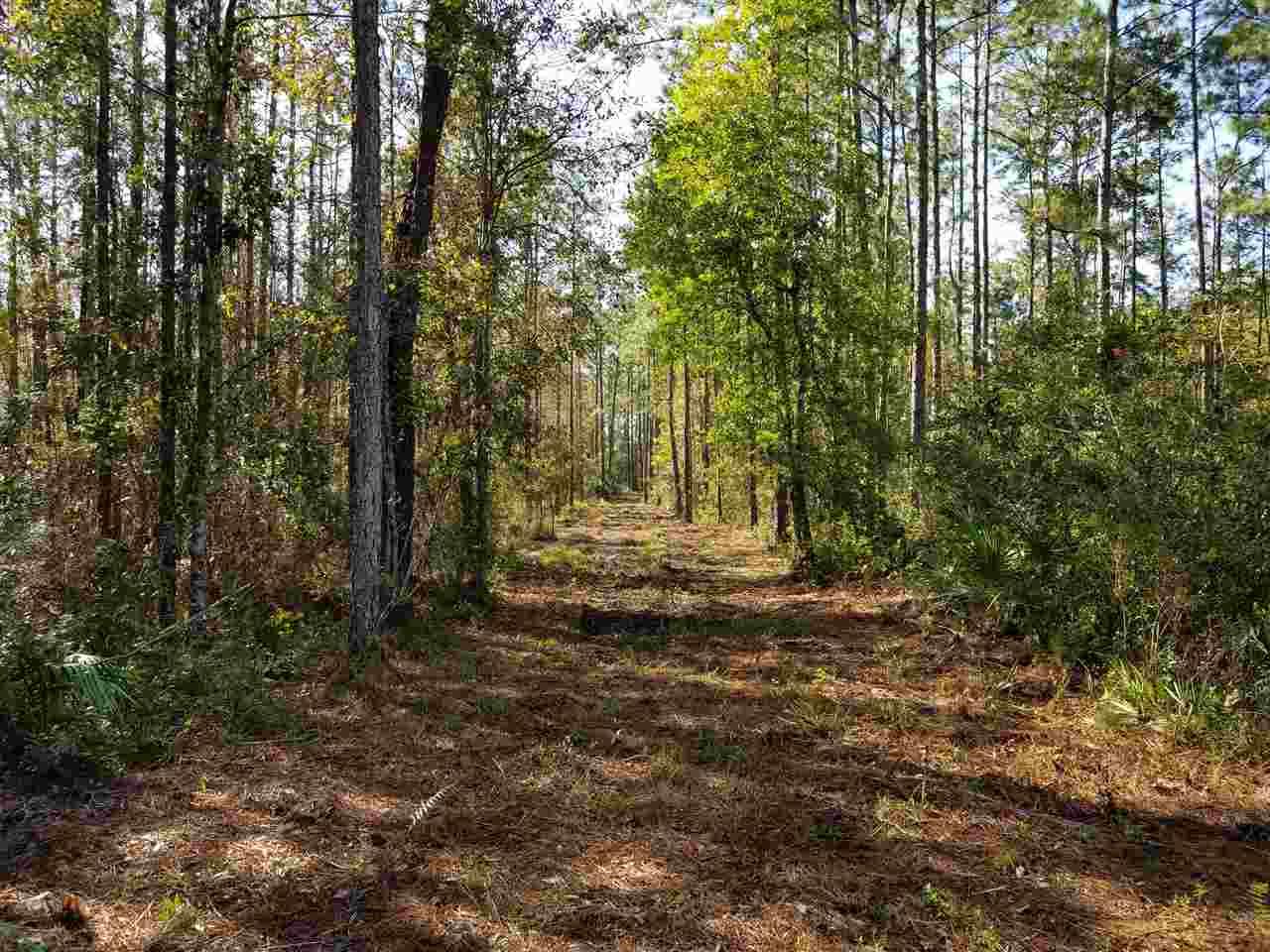 709 Bardin Road - Photo 1