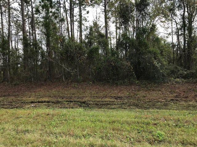 6420 State Road 207 - Photo 1