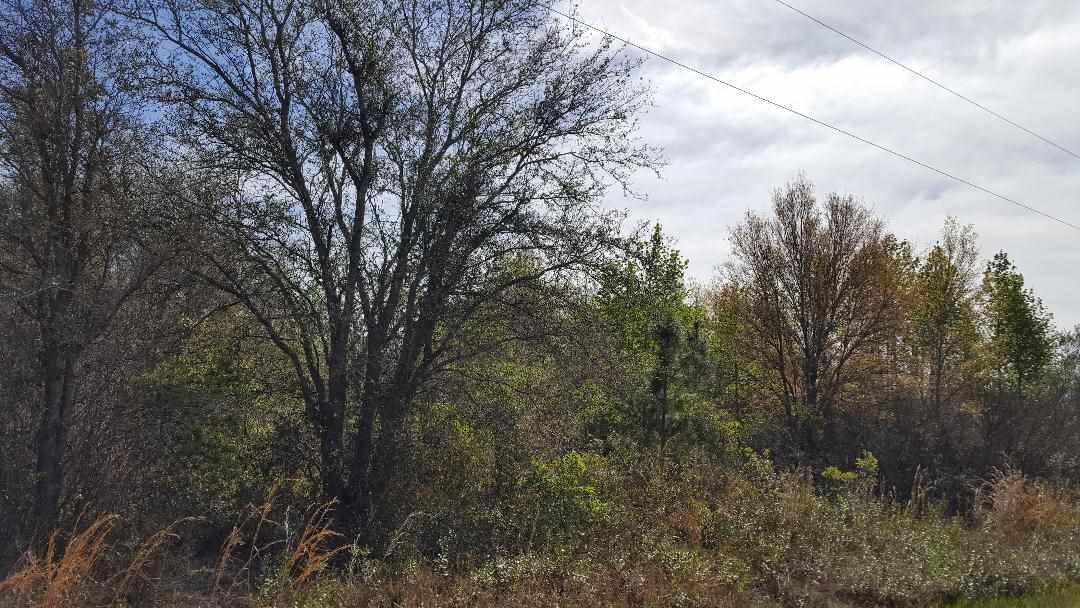 10270 Weatherby - Photo 1