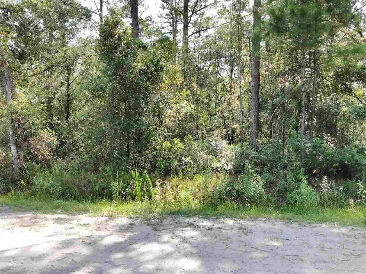 10600 Flikkema Ave - Photo 1