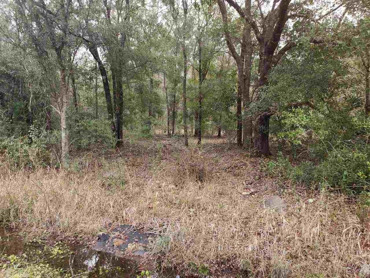 10120 Carpenter Avenue - Photo 1