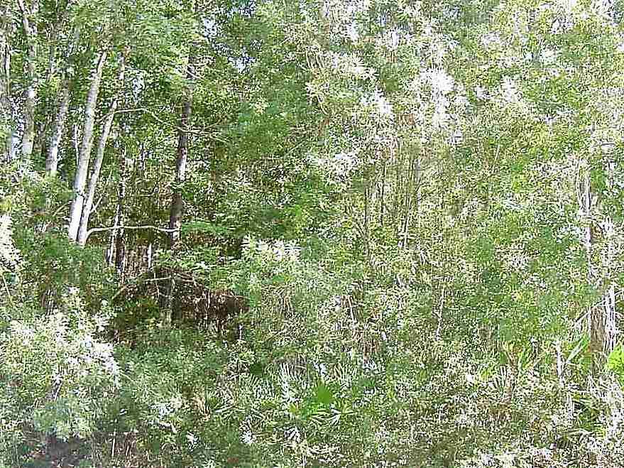 10325 Stycket Ave - Photo 1