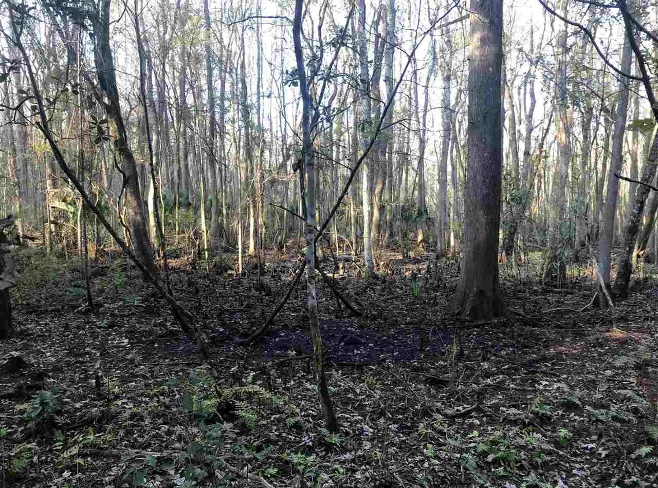 0 County Road 207A - Photo 1