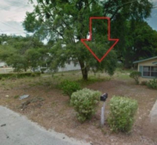 843 Ave R Ne - Photo 1
