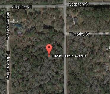 10235 Turpin Ave - Photo 1