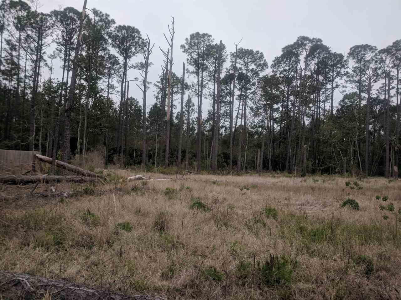 0 Plantation Point - Photo 1