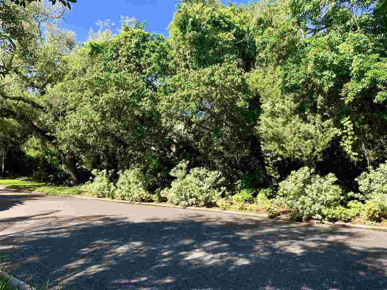 386 Ocean Forest Dr. - Photo 1