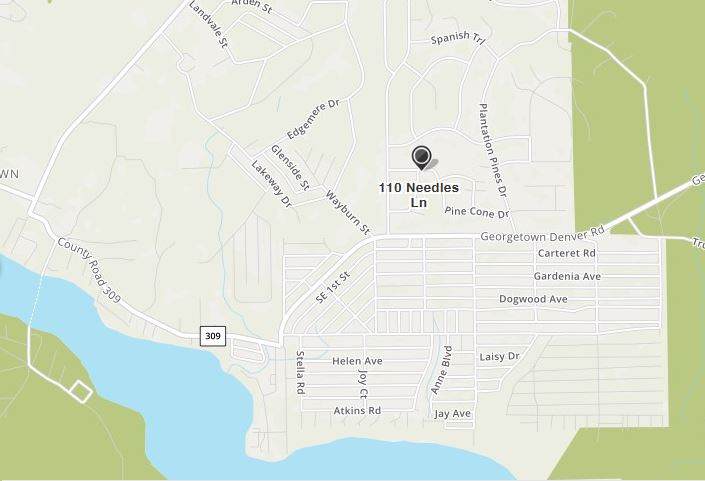 110 Needles Ln(River Access With Hoa) - Photo 1