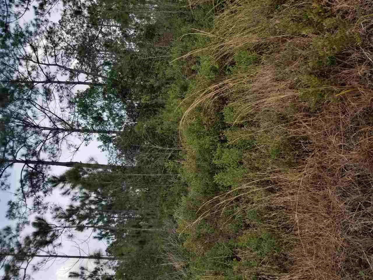 10250 Delgado Ave - Photo 1