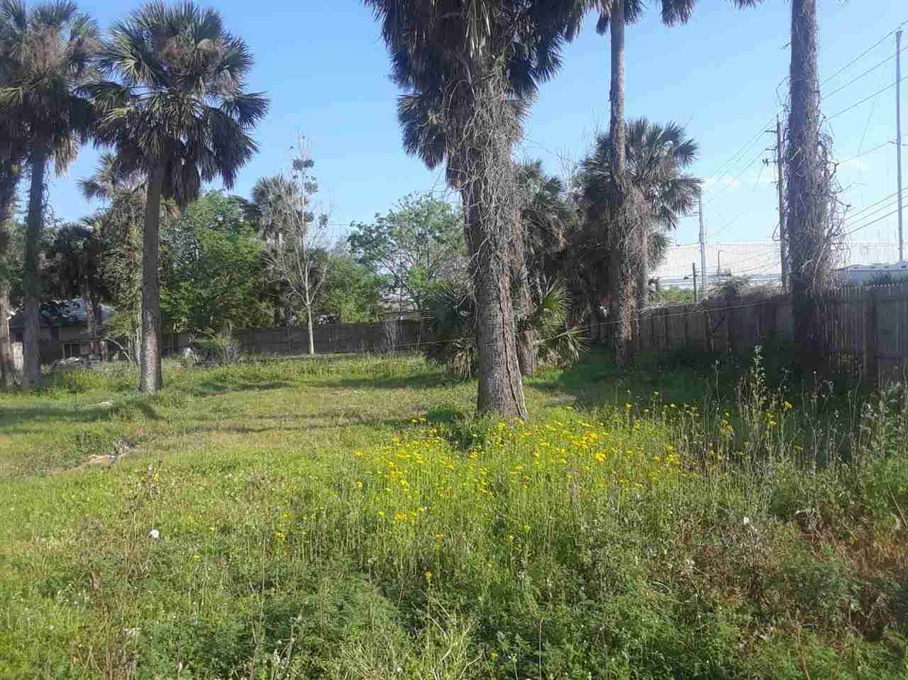 Riberia Street - Photo 1