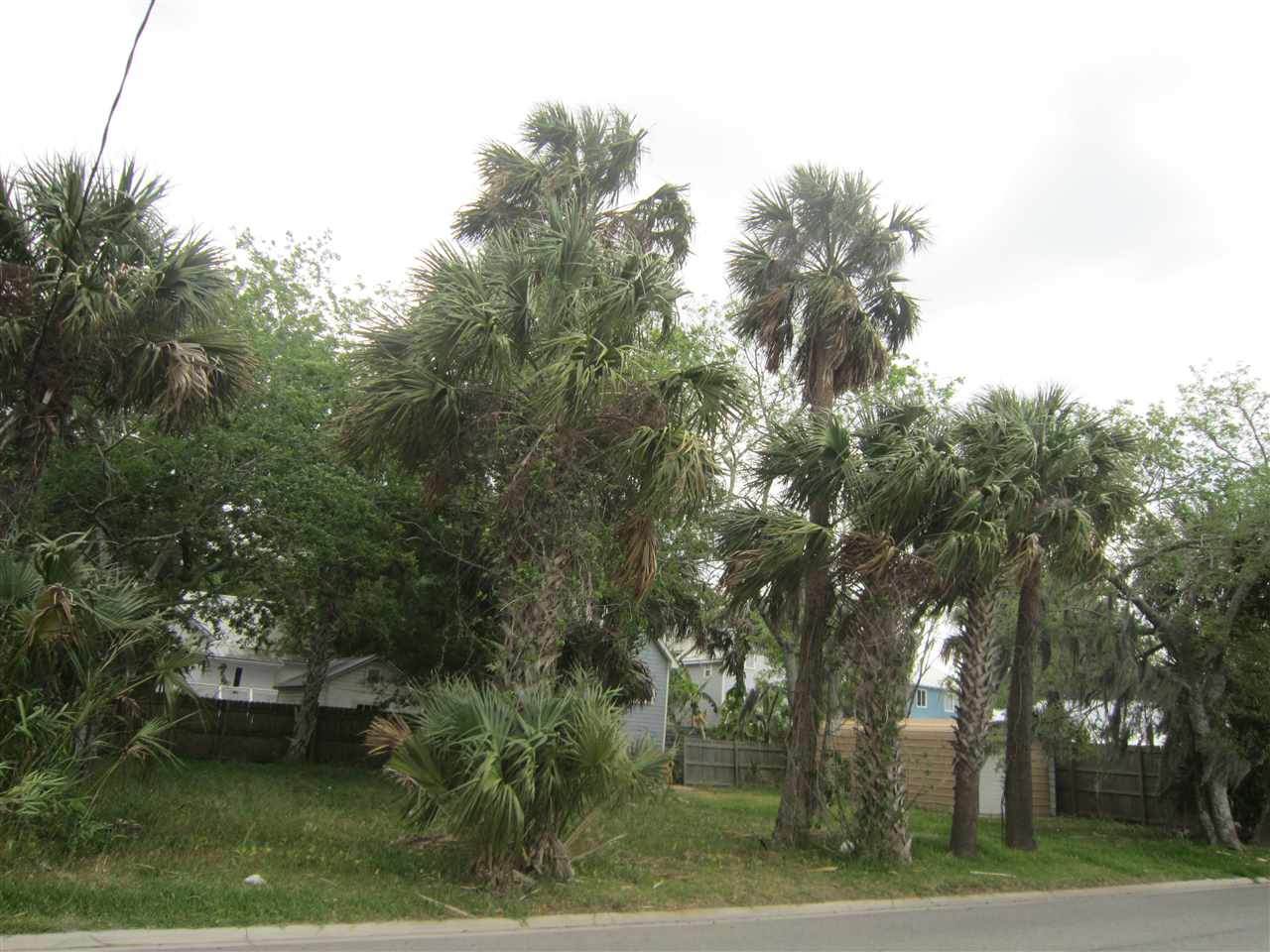 0 Riberia St. Vacant Lot - Photo 1