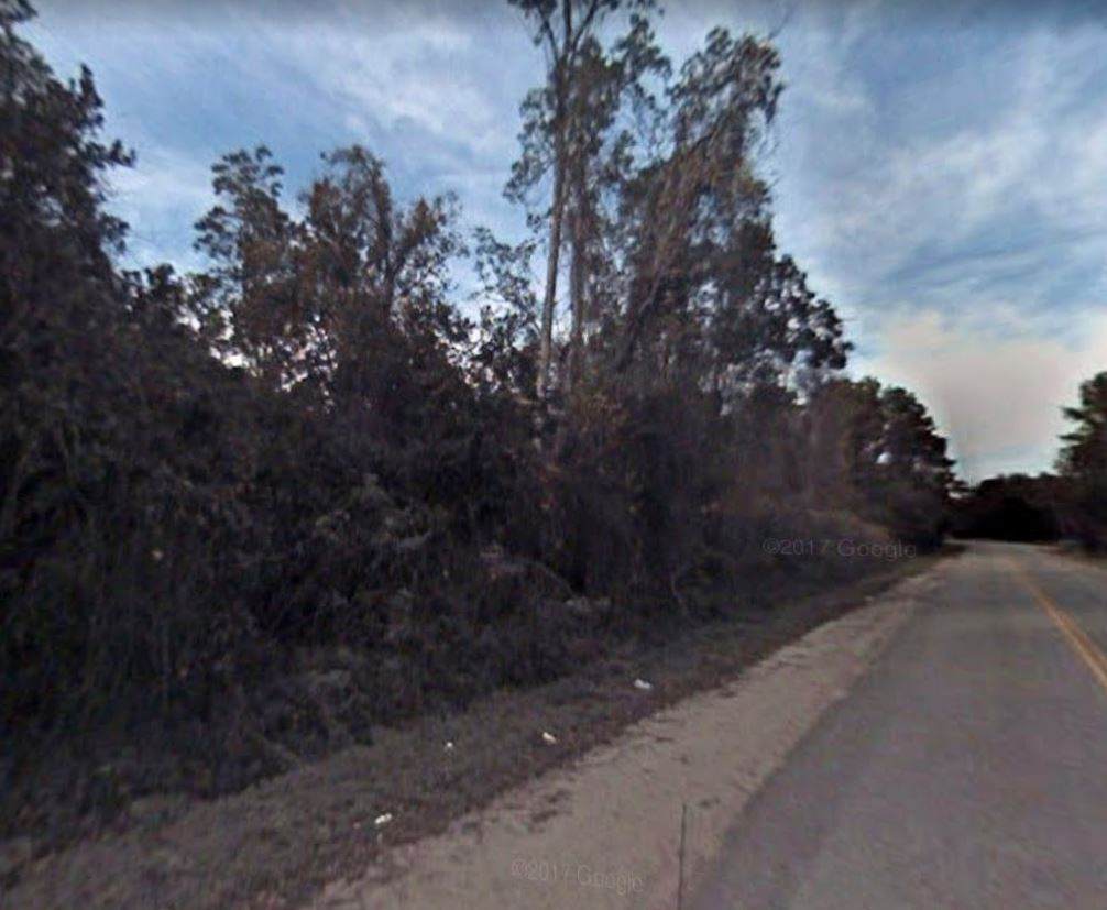 309 Hoot Owl - Photo 1