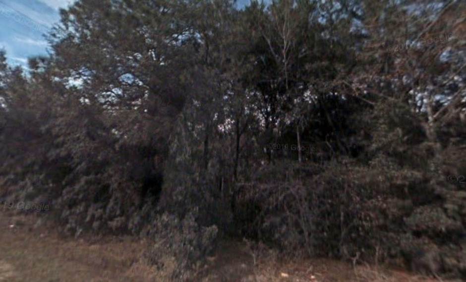 212 Squirrel tr Satsuma - Photo 1