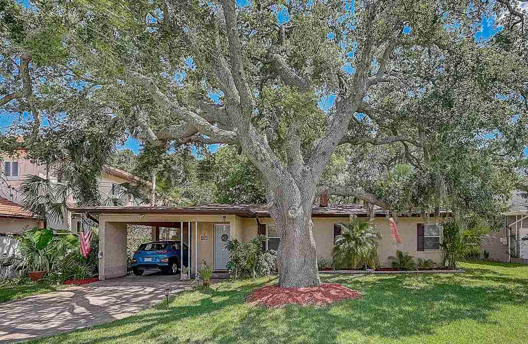 205 Zoratoa - Photo 1