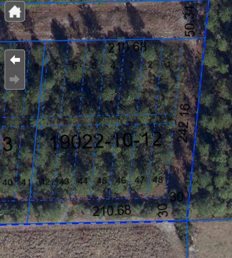 0 County Road 1474 - Photo 1