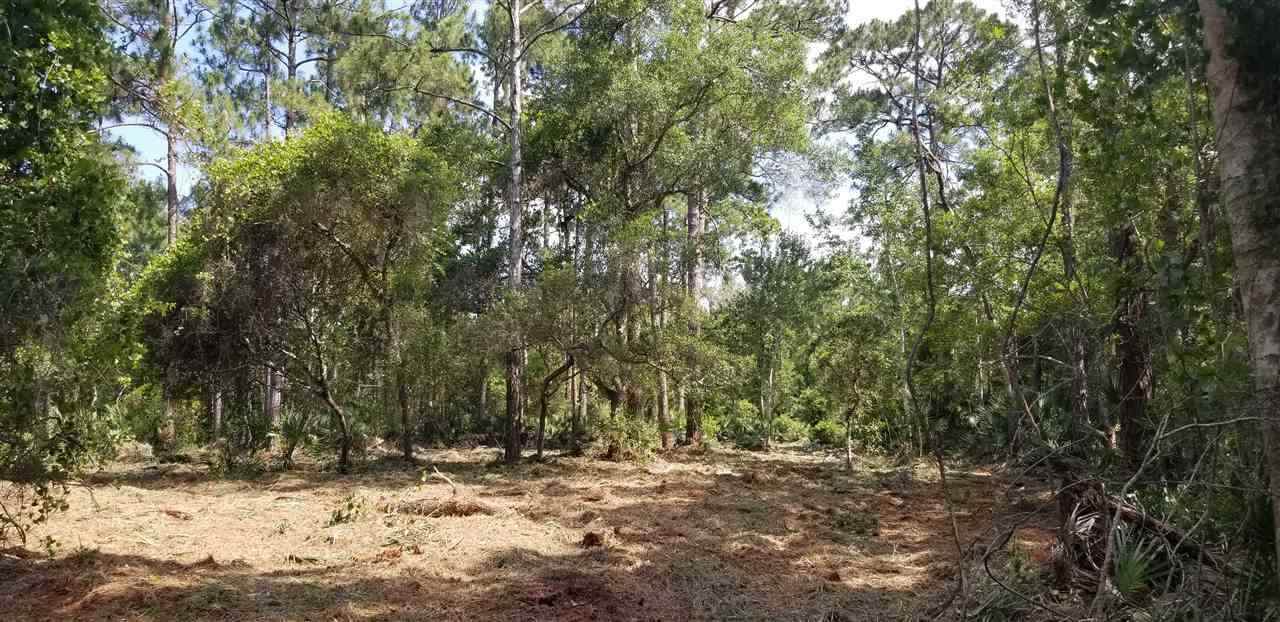 7029 Pine Breeze Lane - Photo 1