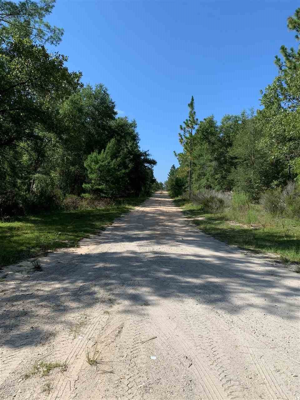 238 Rainbow Drive - Photo 1